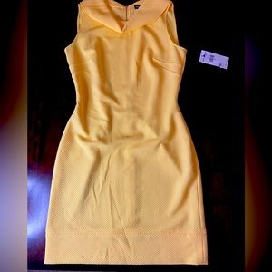 💛American Living Summer Dress💛 Size 8